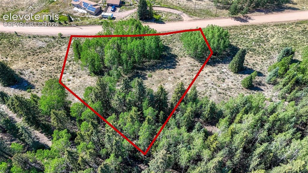 1444 Anges Drive Cripple Creek CO 80813
