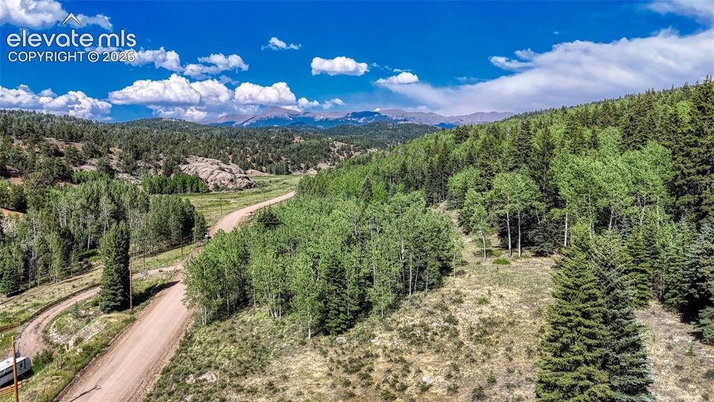 1444 Anges Drive Cripple Creek CO 80813