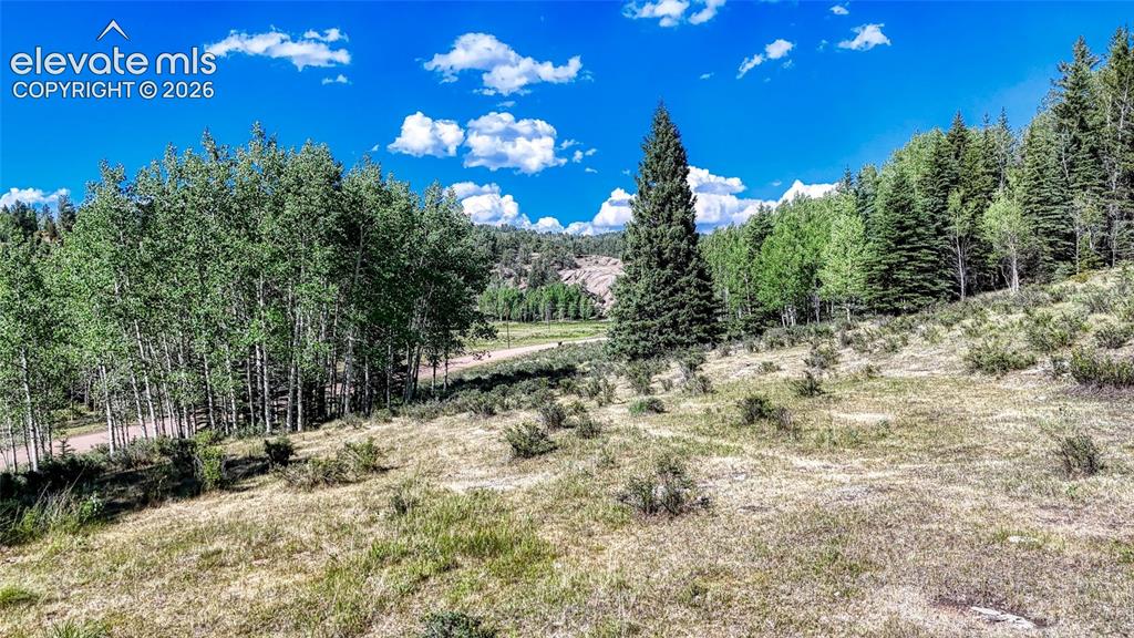 1444 Anges Drive Cripple Creek CO 80813