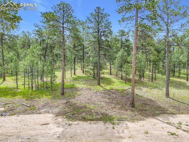 14671 Allen Ranch Road Colorado Springs CO 80908