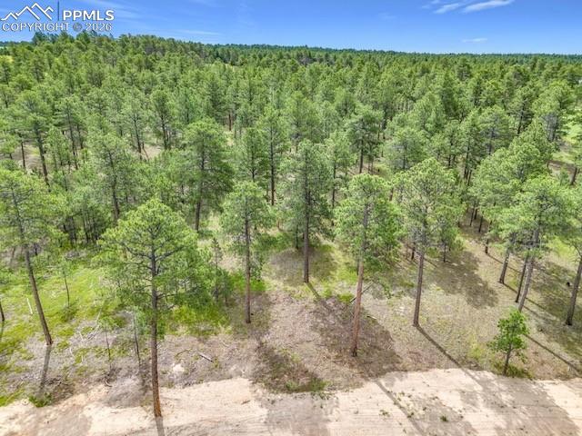 14671 Allen Ranch Road Colorado Springs CO 80908
