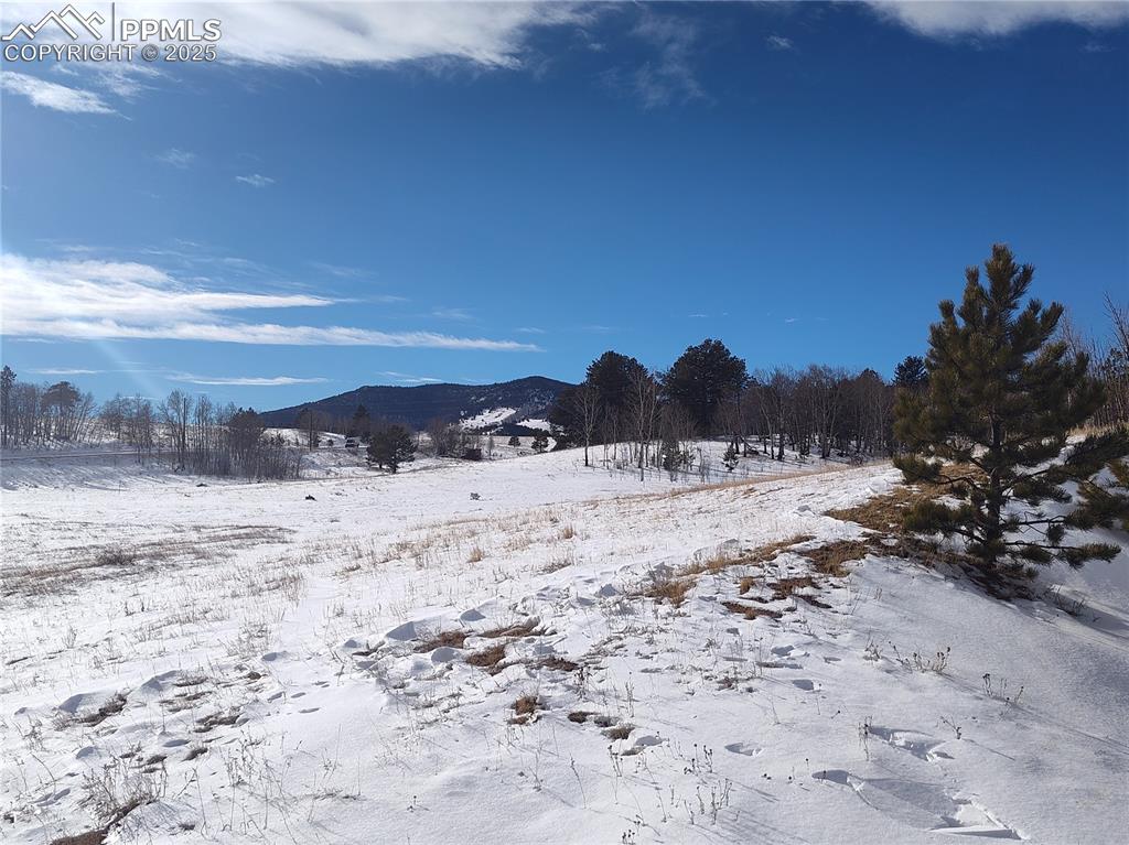29 Hidden Valley Drive Florissant CO 80816