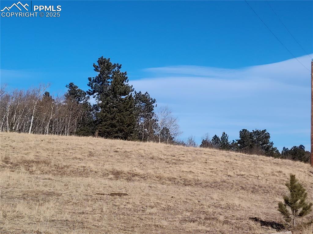 29 Hidden Valley Drive Florissant CO 80816
