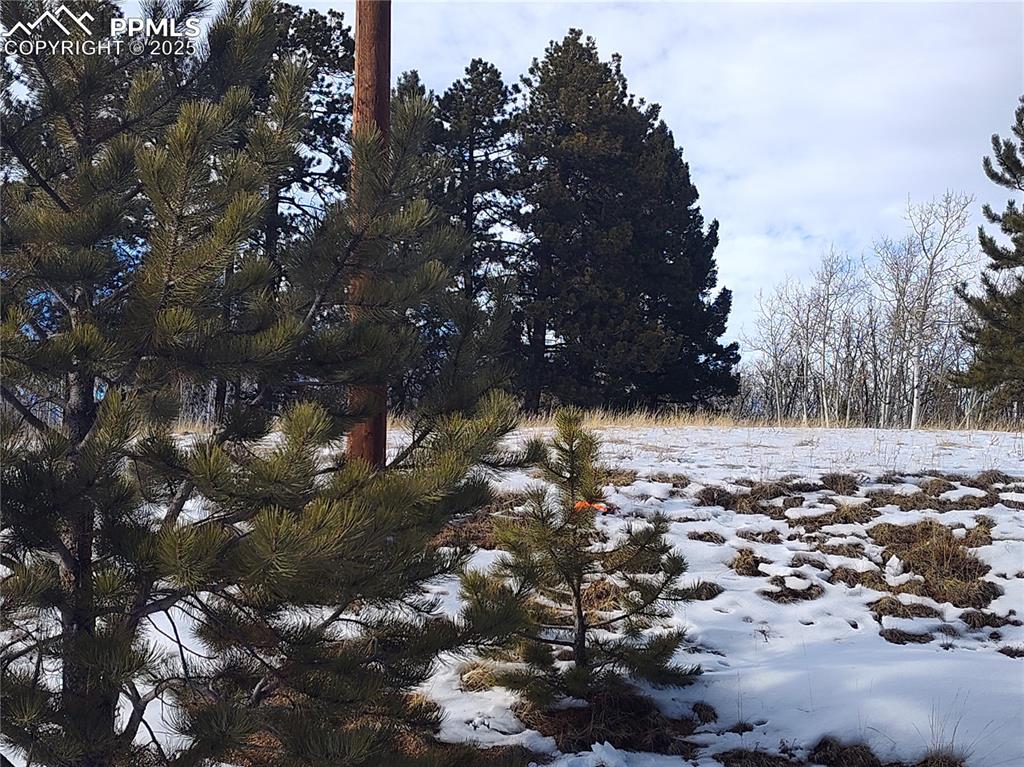 29 Hidden Valley Drive Florissant CO 80816