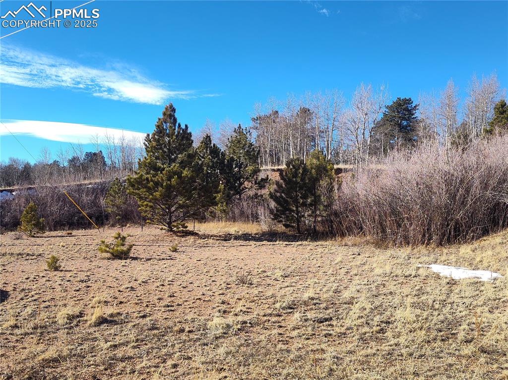 29 Hidden Valley Drive Florissant CO 80816