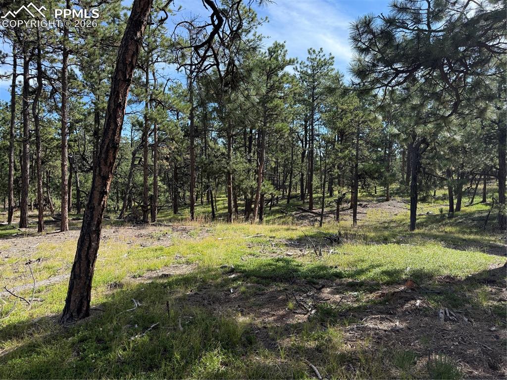 17405 E Goshawk Road Colorado Springs CO 80908