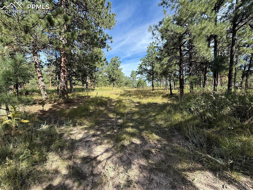 17405 E Goshawk Road Colorado Springs CO 80908