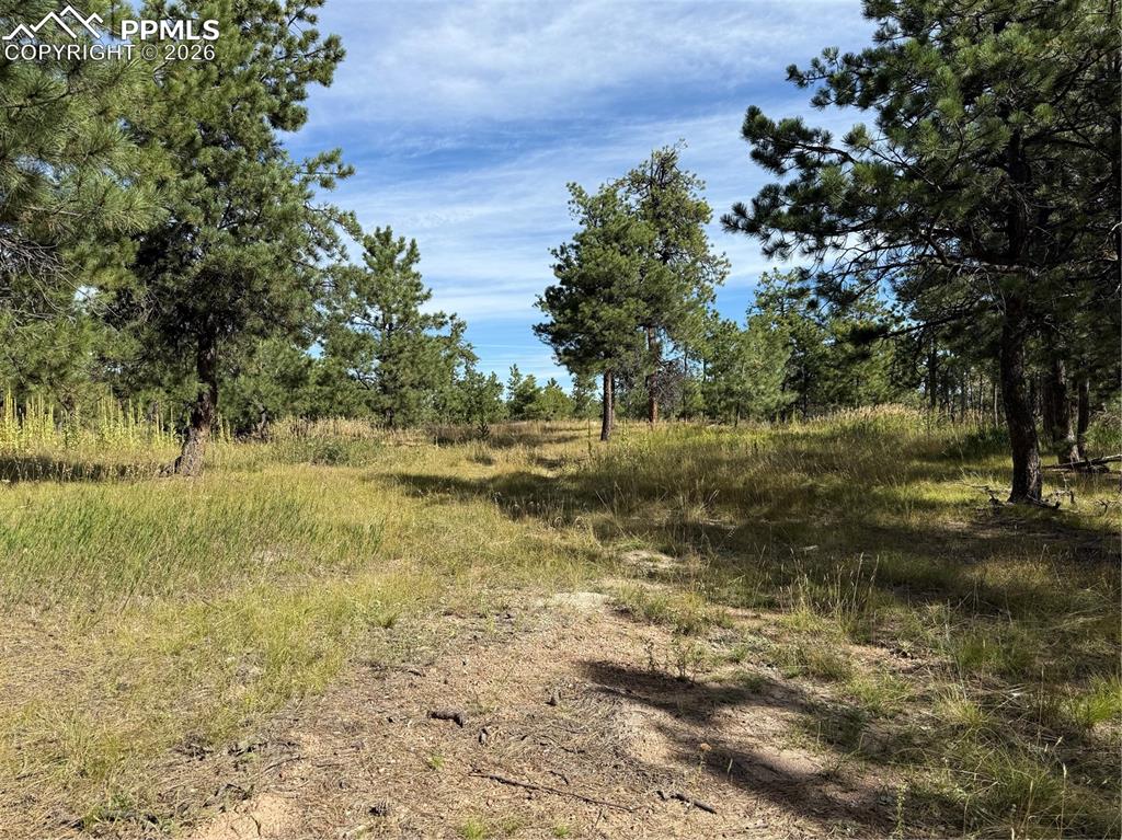 17405 E Goshawk Road Colorado Springs CO 80908