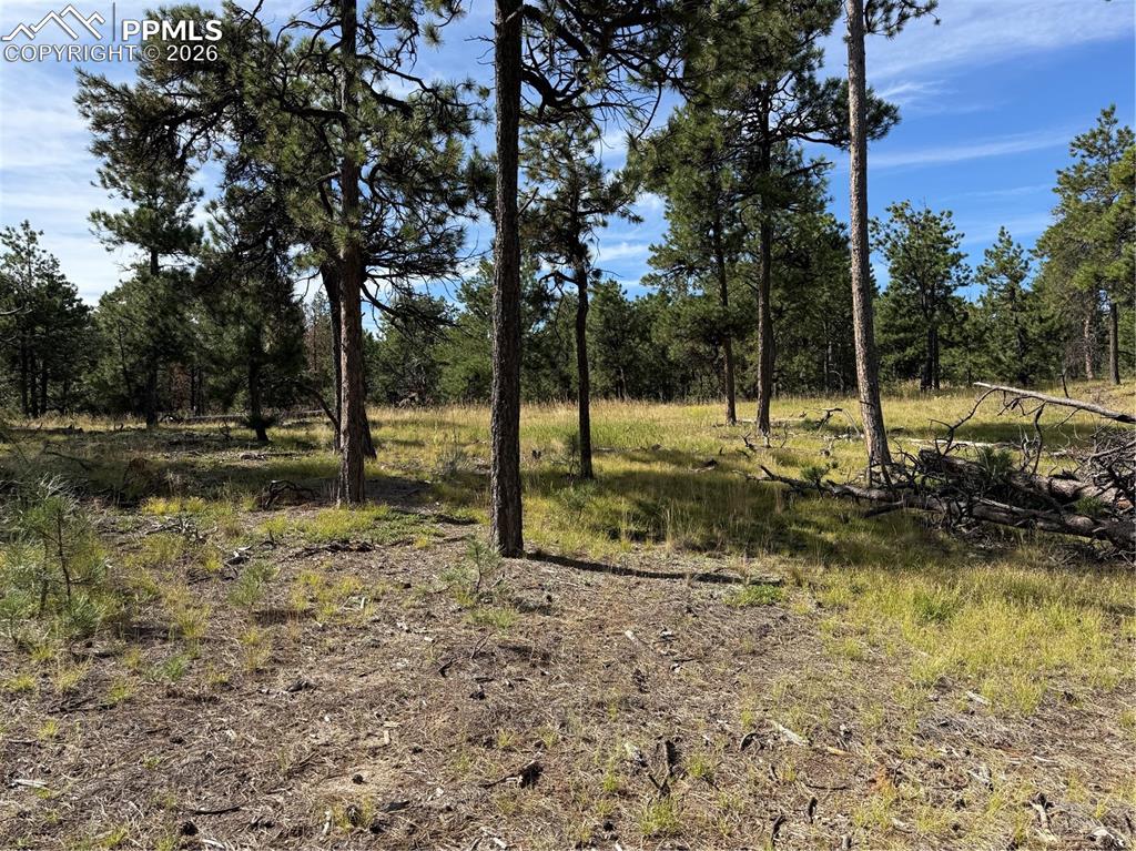 17405 E Goshawk Road Colorado Springs CO 80908