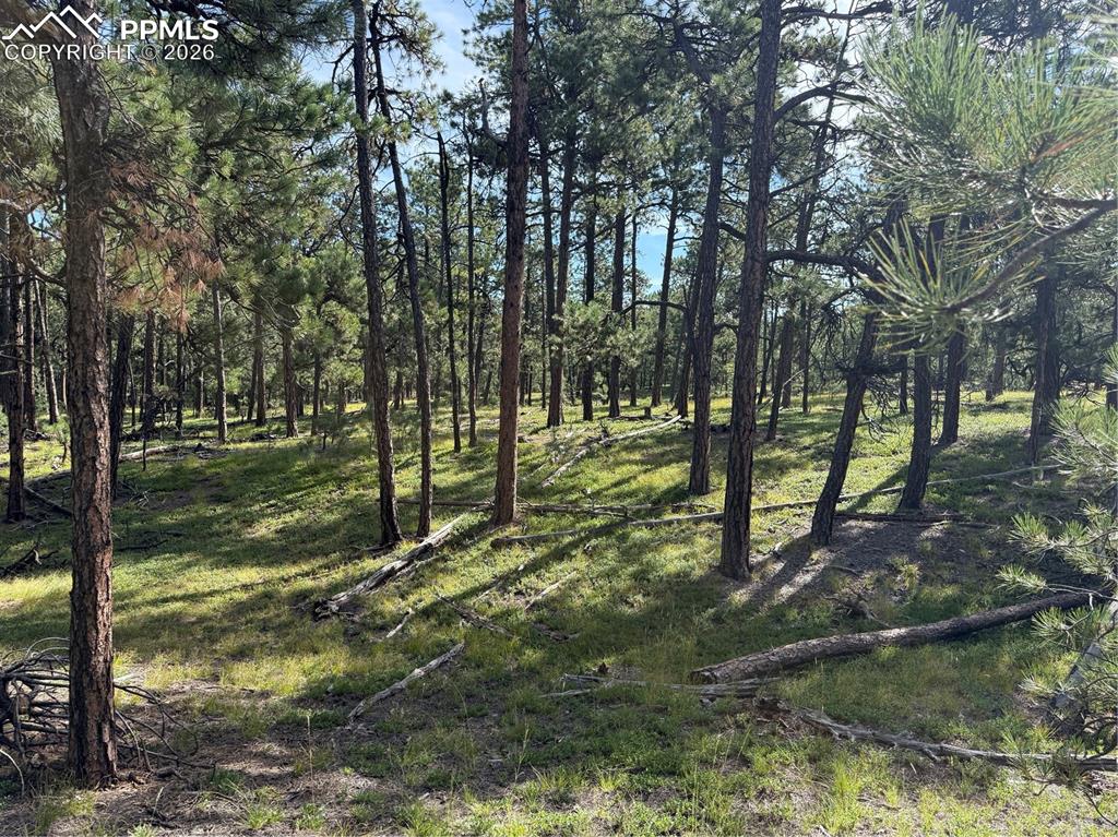 17405 E Goshawk Road Colorado Springs CO 80908