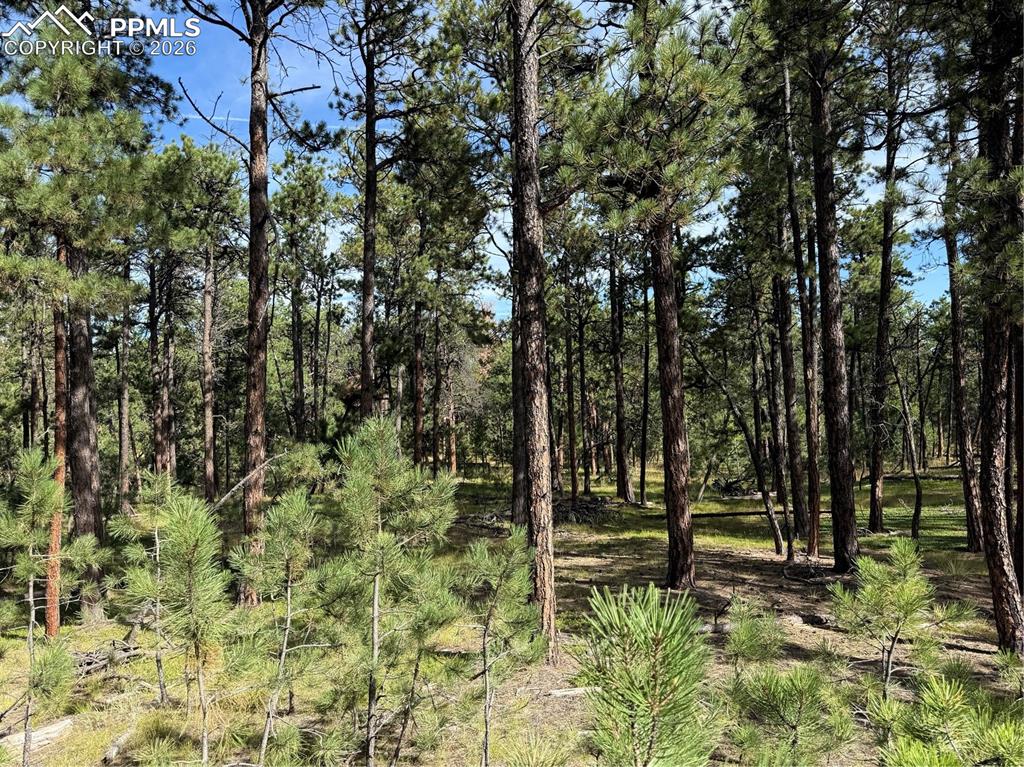 17405 E Goshawk Road Colorado Springs CO 80908