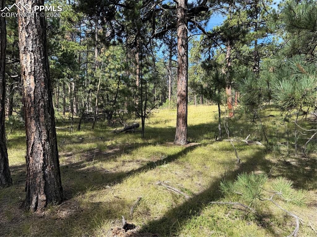 17405 E Goshawk Road Colorado Springs CO 80908