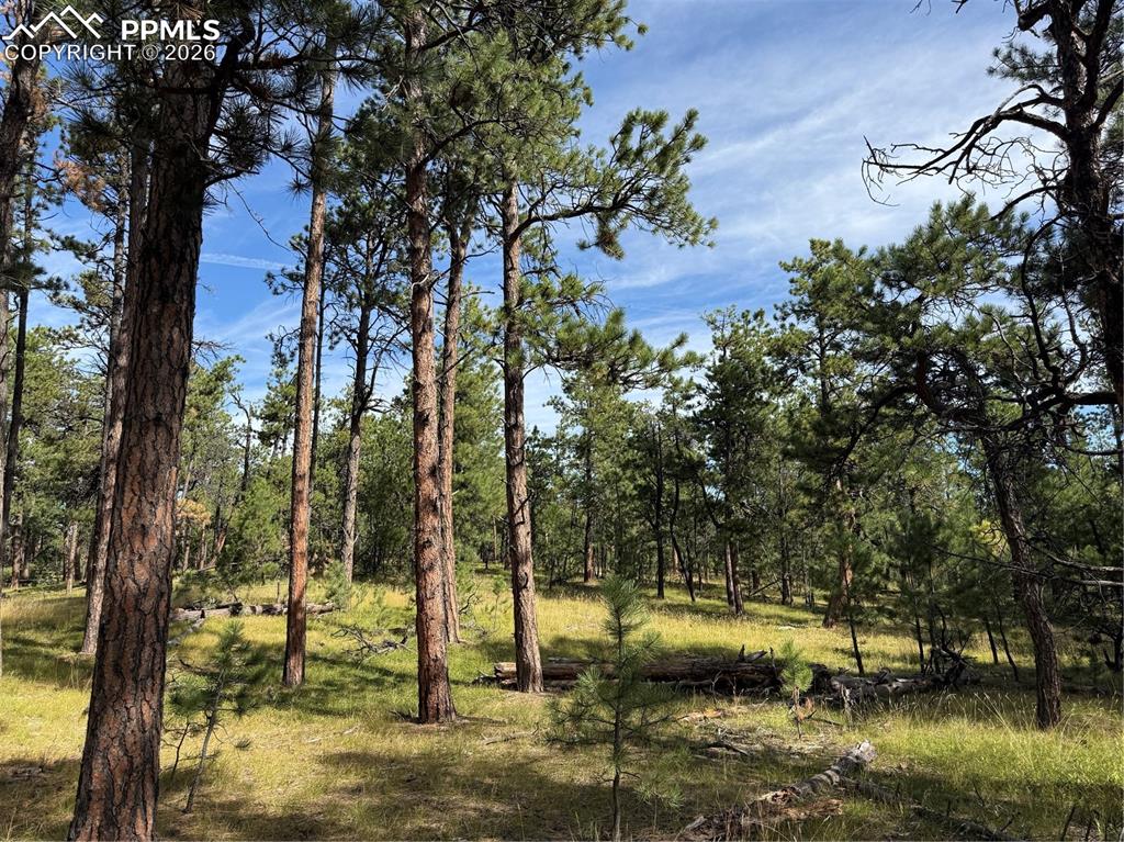 17405 E Goshawk Road Colorado Springs CO 80908