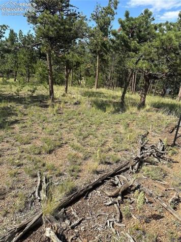 315 Thunder Ridge Road Florissant CO 80816