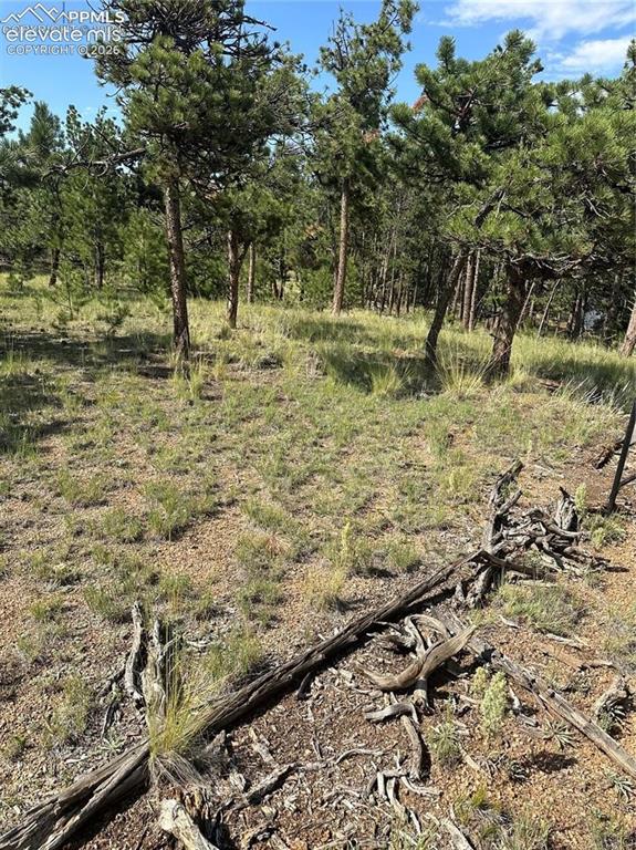 315 Thunder Ridge Road Florissant CO 80816
