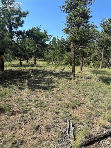 315 Thunder Ridge Road Florissant CO 80816