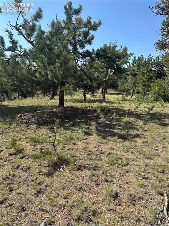 315 Thunder Ridge Road Florissant CO 80816