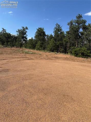 315 Thunder Ridge Road Florissant CO 80816