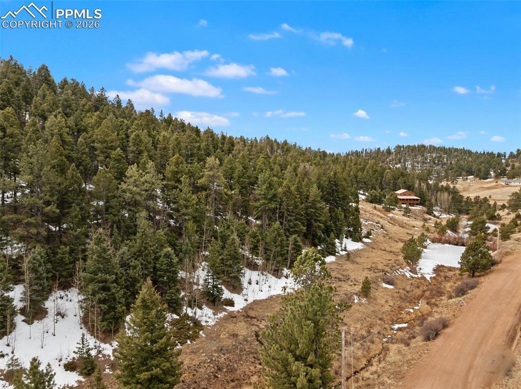 278 Penrose Circle Cripple Creek CO 80813
