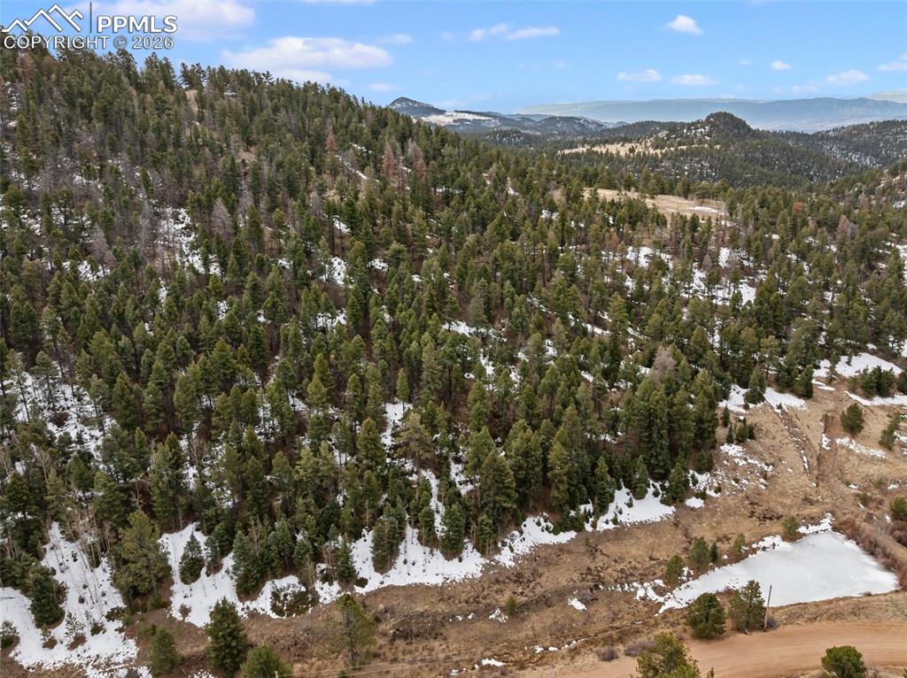 278 Penrose Circle Cripple Creek CO 80813