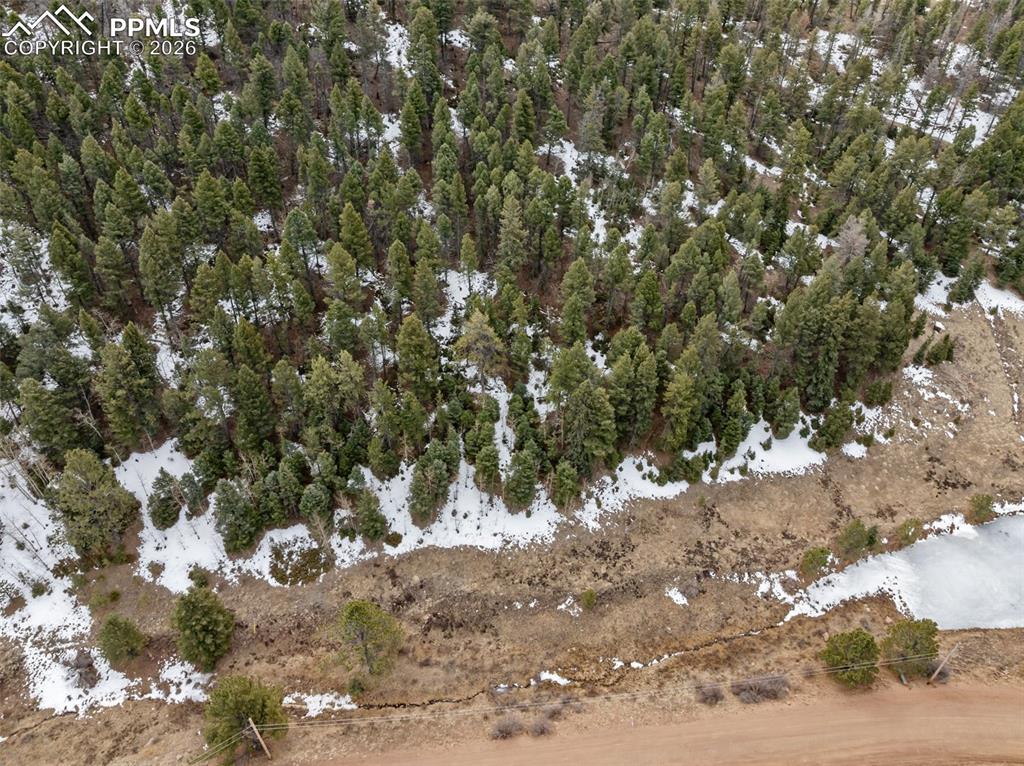 278 Penrose Circle Cripple Creek CO 80813