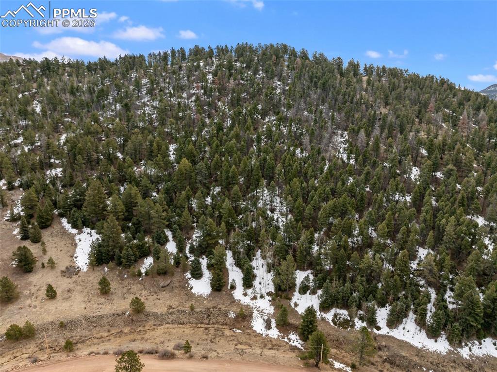 278 Penrose Circle Cripple Creek CO 80813
