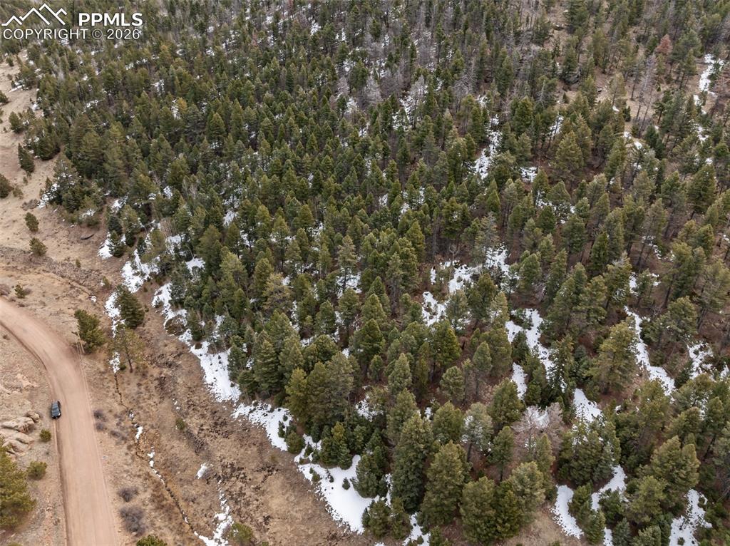278 Penrose Circle Cripple Creek CO 80813