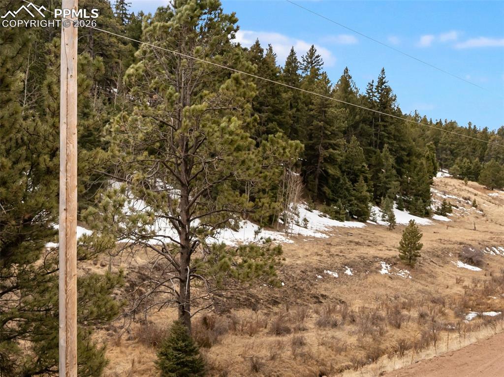 278 Penrose Circle Cripple Creek CO 80813