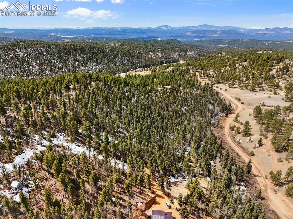 464 E Bison Creek Trail Florissant CO 80816