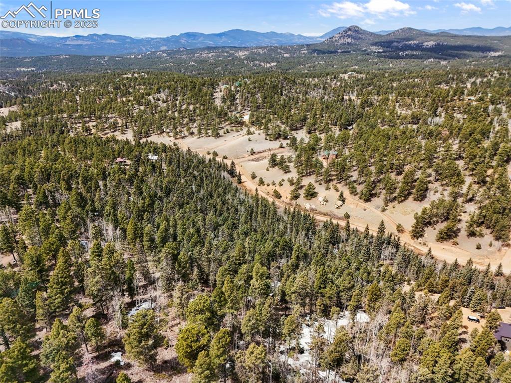 464 E Bison Creek Trail Florissant CO 80816