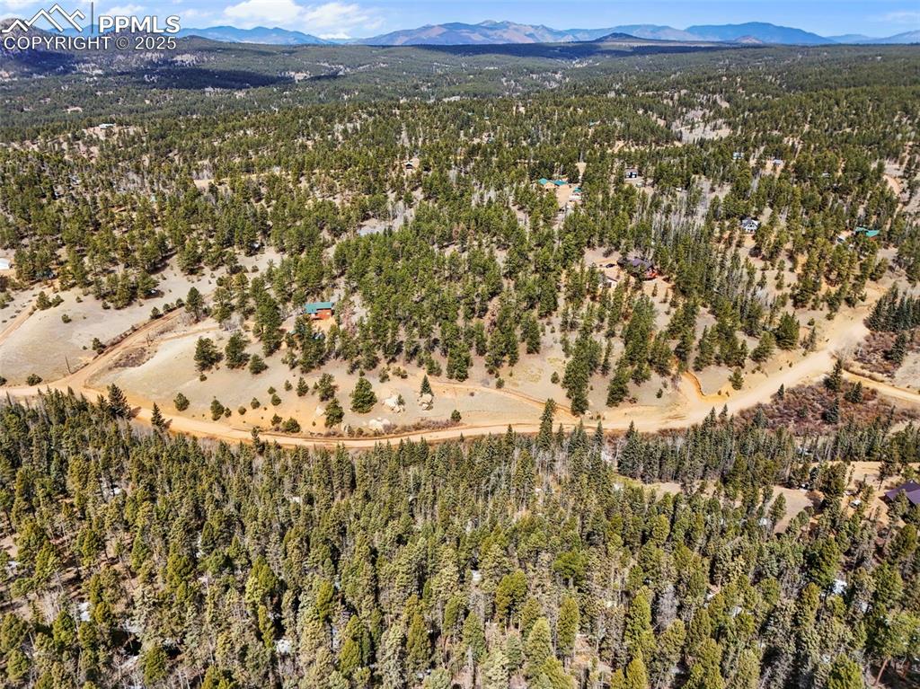 464 E Bison Creek Trail Florissant CO 80816