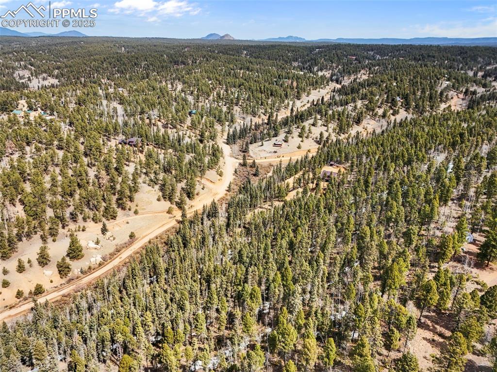 464 E Bison Creek Trail Florissant CO 80816