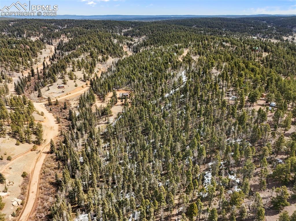 464 E Bison Creek Trail Florissant CO 80816