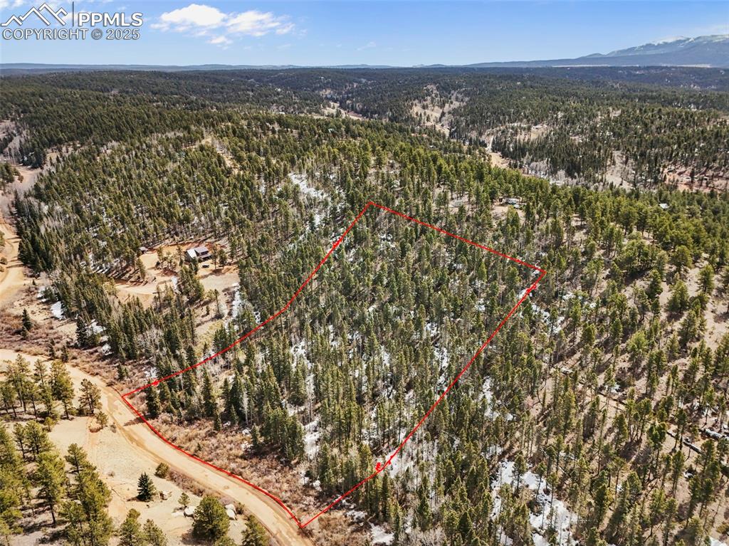 464 E Bison Creek Trail Florissant CO 80816