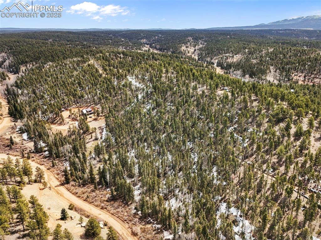 464 E Bison Creek Trail Florissant CO 80816