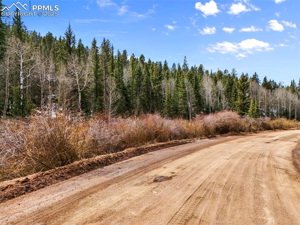 464 E Bison Creek Trail Florissant CO 80816