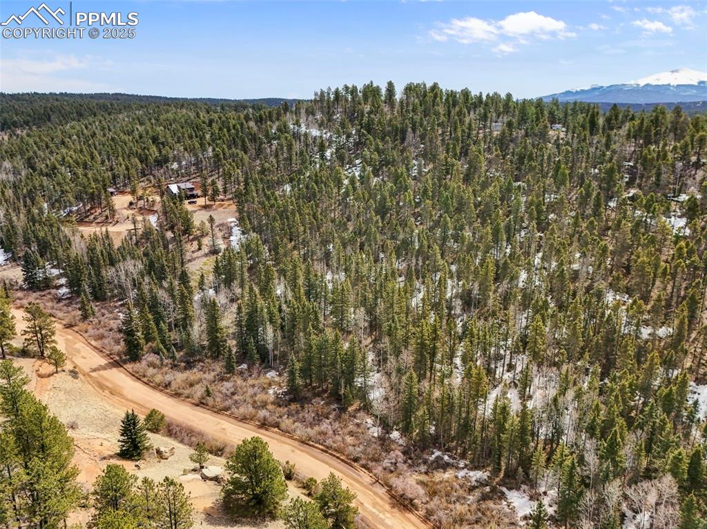464 E Bison Creek Trail Florissant CO 80816
