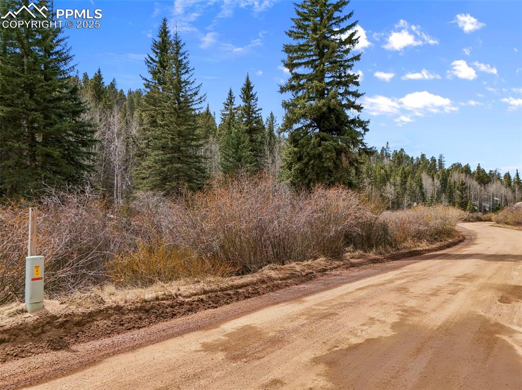 464 E Bison Creek Trail Florissant CO 80816