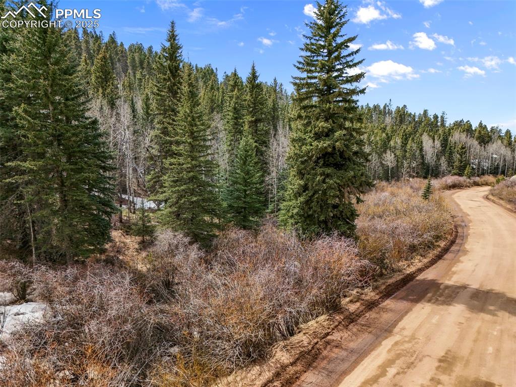 464 E Bison Creek Trail Florissant CO 80816