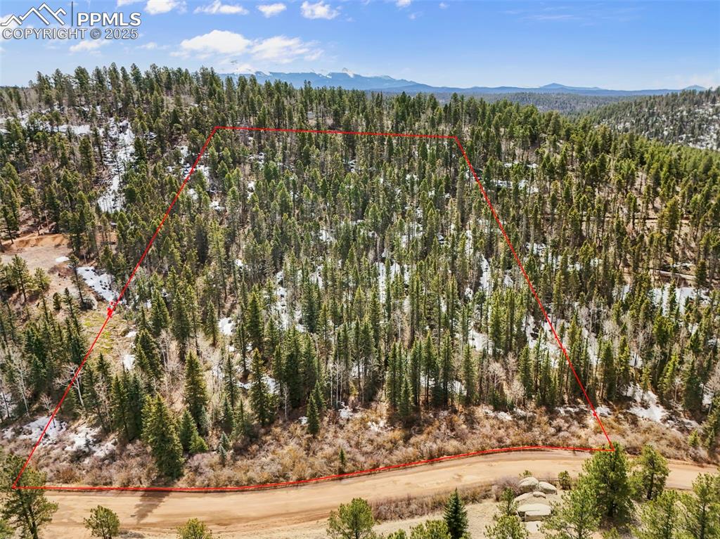 464 E Bison Creek Trail Florissant CO 80816