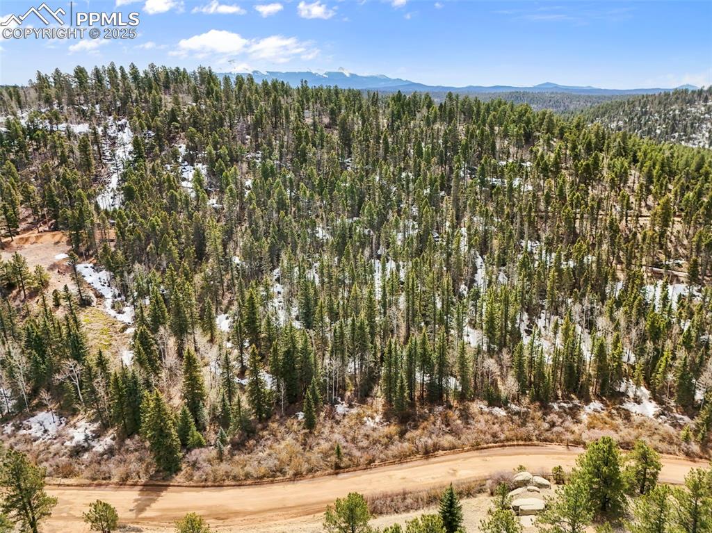464 E Bison Creek Trail Florissant CO 80816