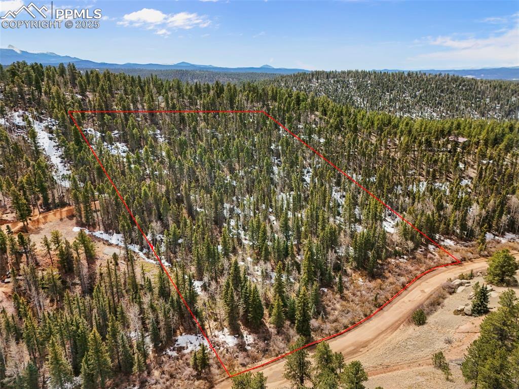 464 E Bison Creek Trail Florissant CO 80816