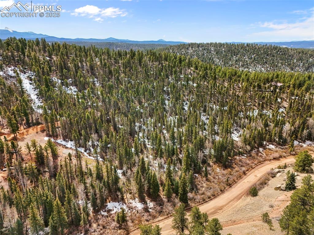 464 E Bison Creek Trail Florissant CO 80816