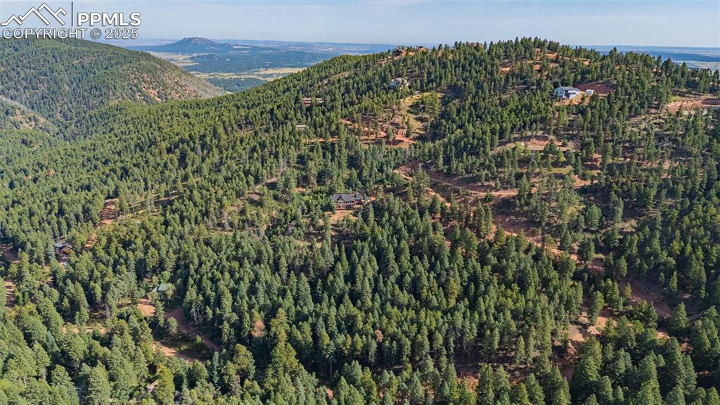 13255 Spruce Creek Circle Larkspur CO 80118