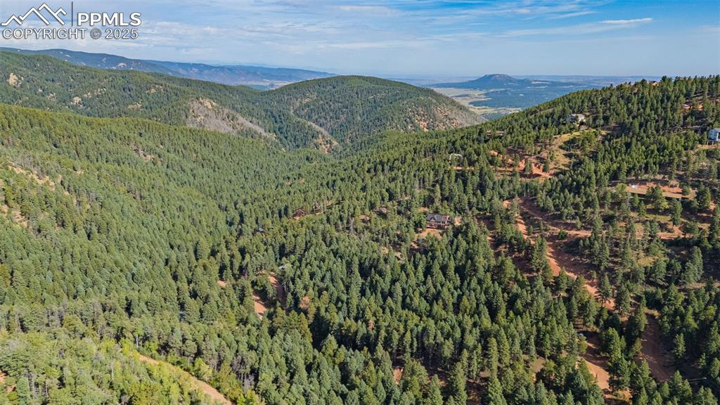 13255 Spruce Creek Circle Larkspur CO 80118