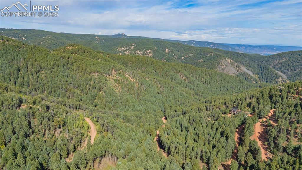 13255 Spruce Creek Circle Larkspur CO 80118
