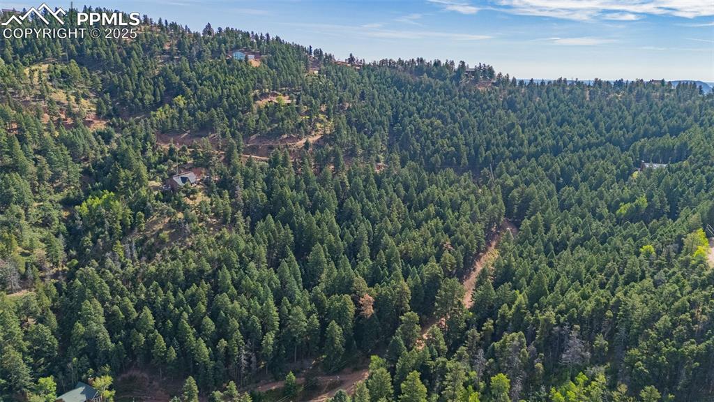 13255 Spruce Creek Circle Larkspur CO 80118