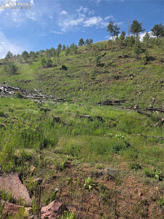 14874 Evergreen Place Woodland Park CO 80863