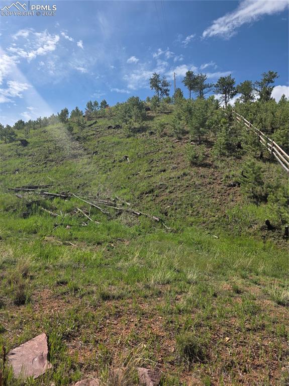 14874 Evergreen Place Woodland Park CO 80863
