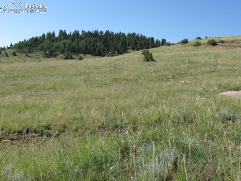 Lots 3-4 Shideler Avenue Cripple Creek CO 80813